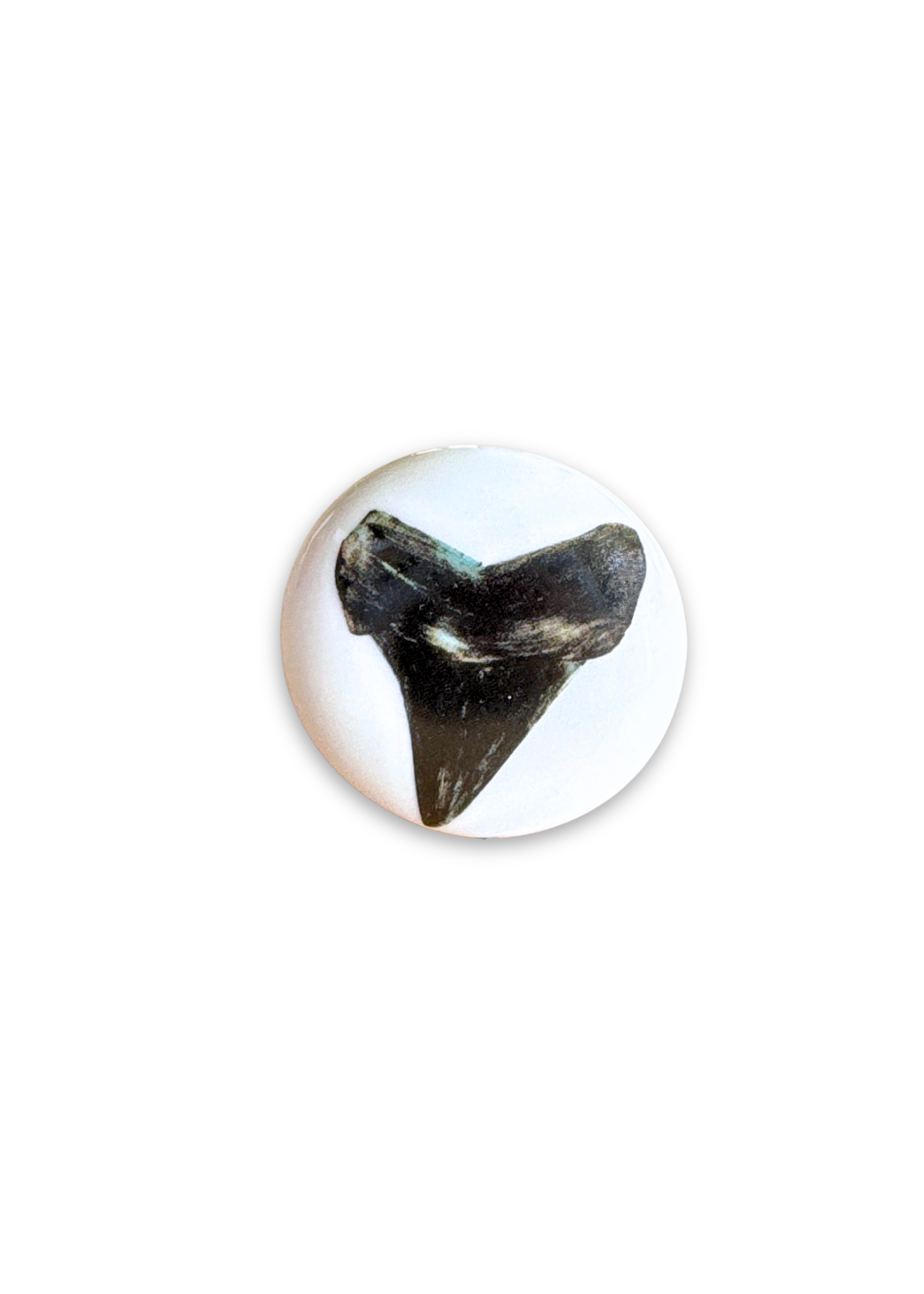 Hand-Painted Shark Tooth Porcelain Wine Stopper