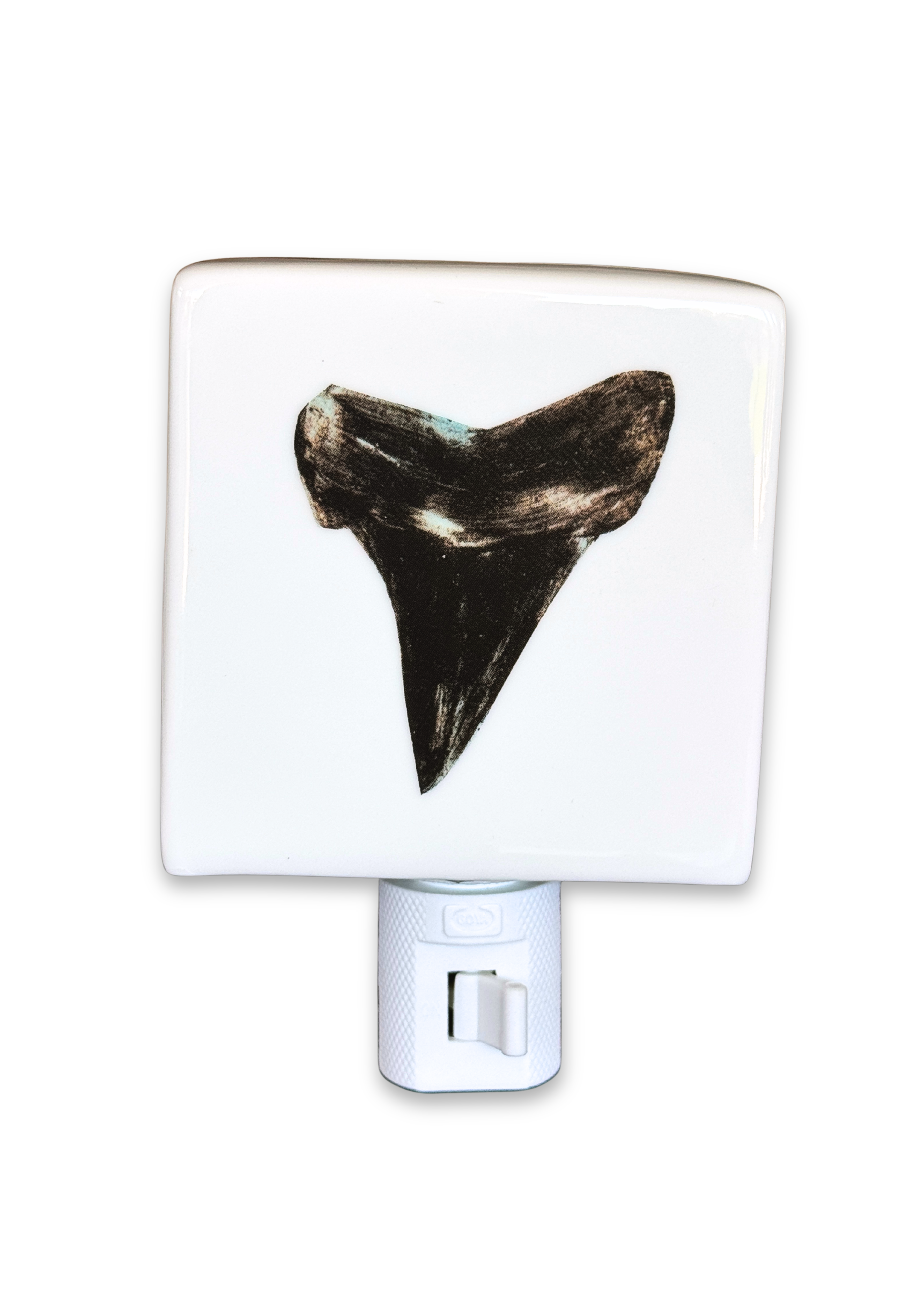 Shark Tooth Porcelain Night Light