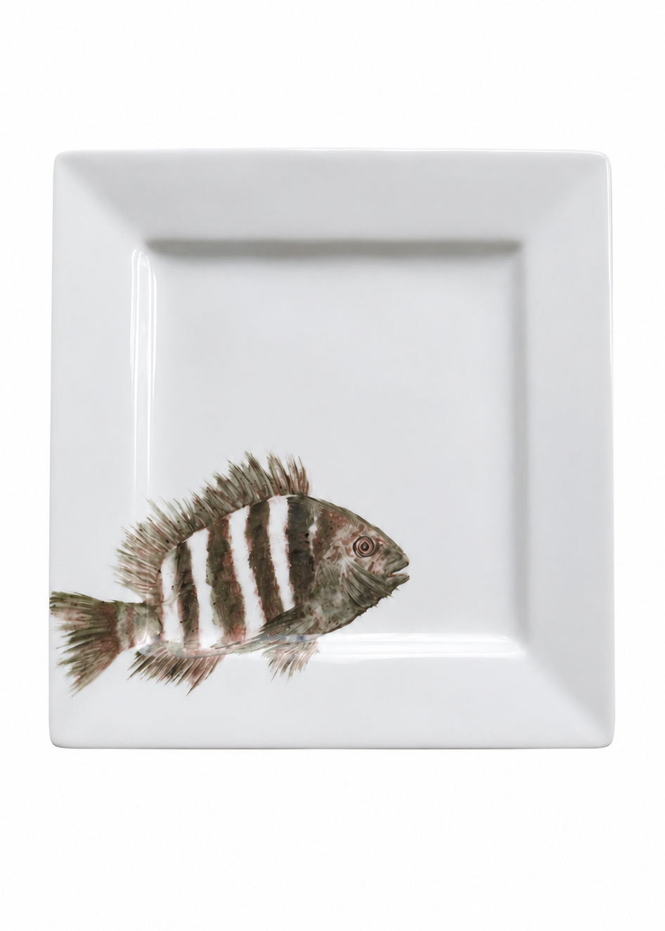 Hand-Painted Coastal Fish Porcelain Square Plate