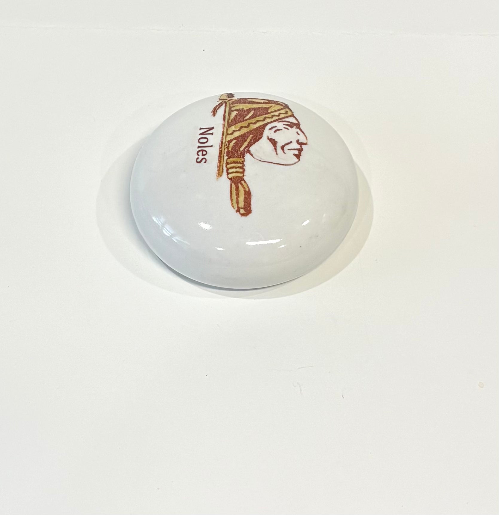 Hand Painted Indian Head on a porcelain paper weight