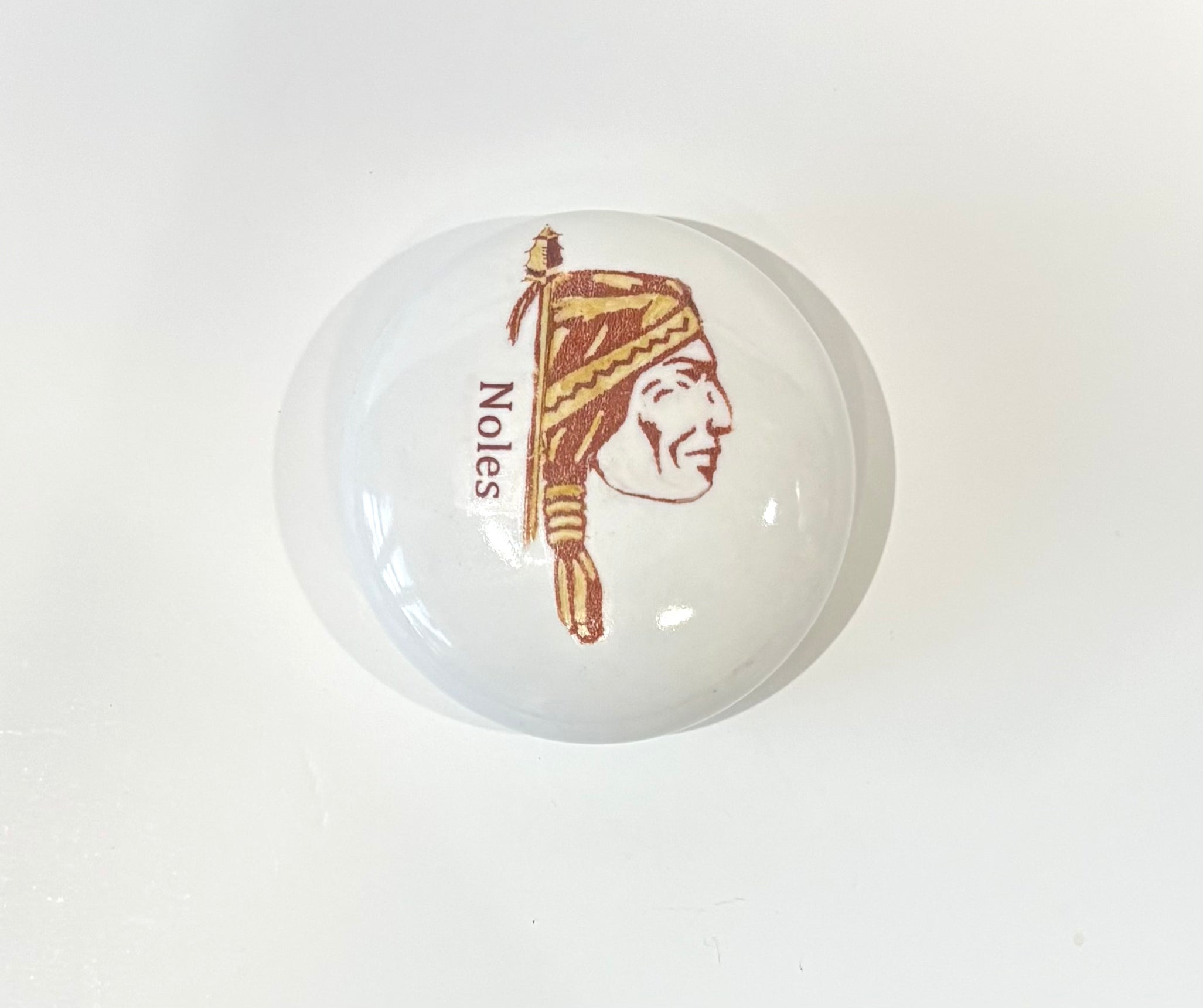 Hand Painted Indian Head on a porcelain paper weight