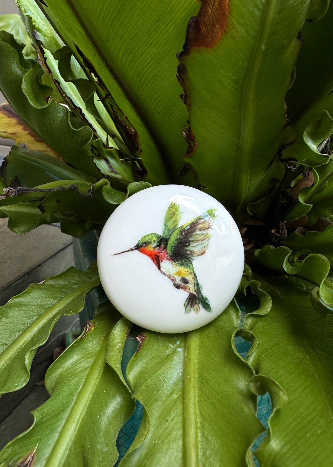 Hummingbird Wine Cork