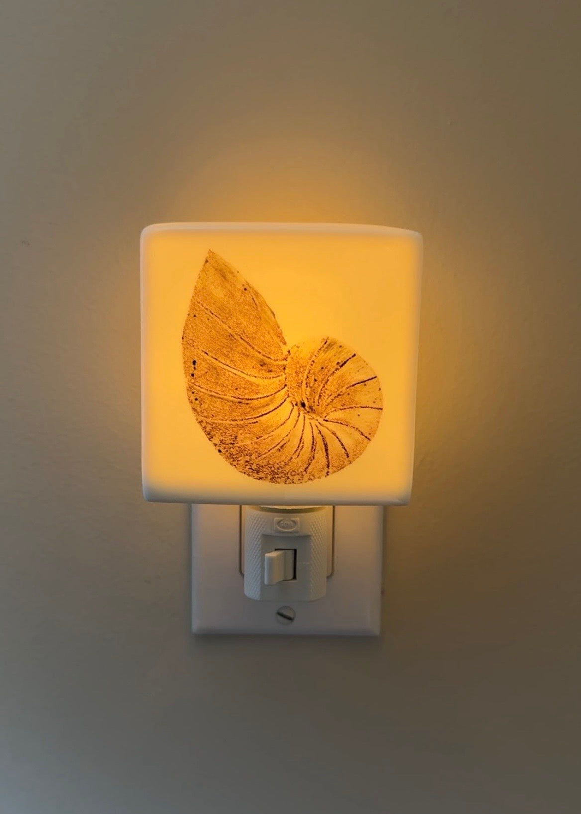 Nautilus Shell Porcelain Nightlight