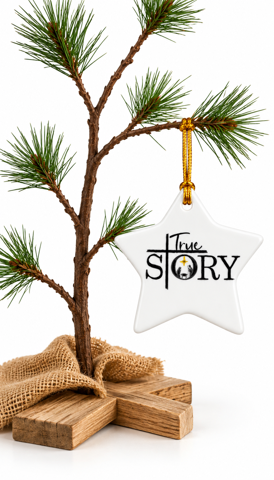 True Story Nativity Porcelain Star Christmas Ornament
