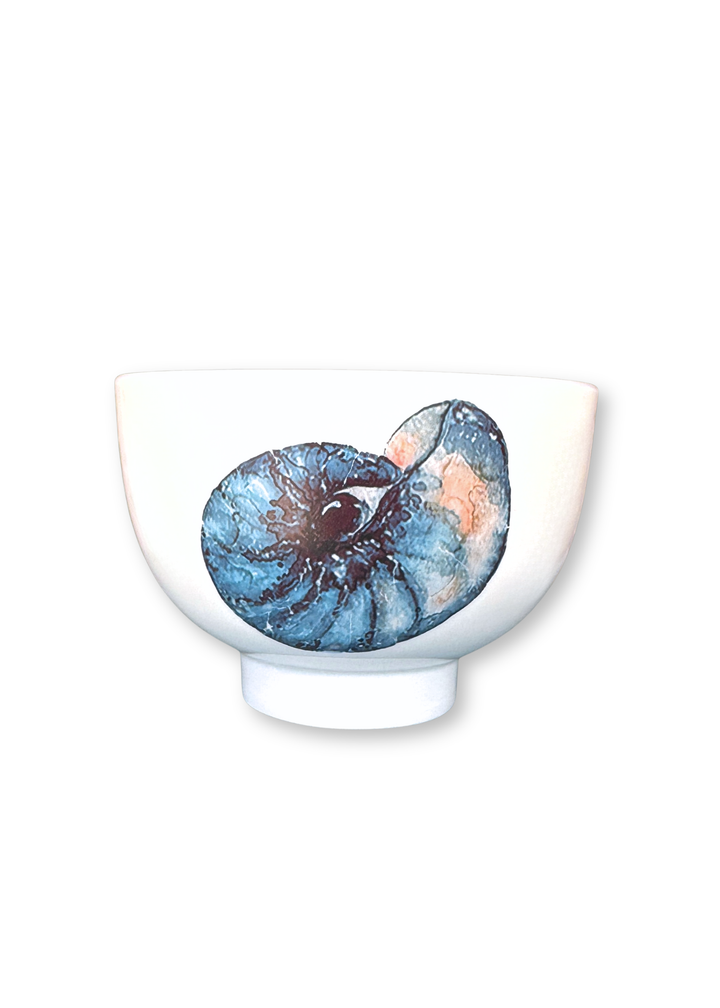 Coastal Nautilus Porcelain Bowl