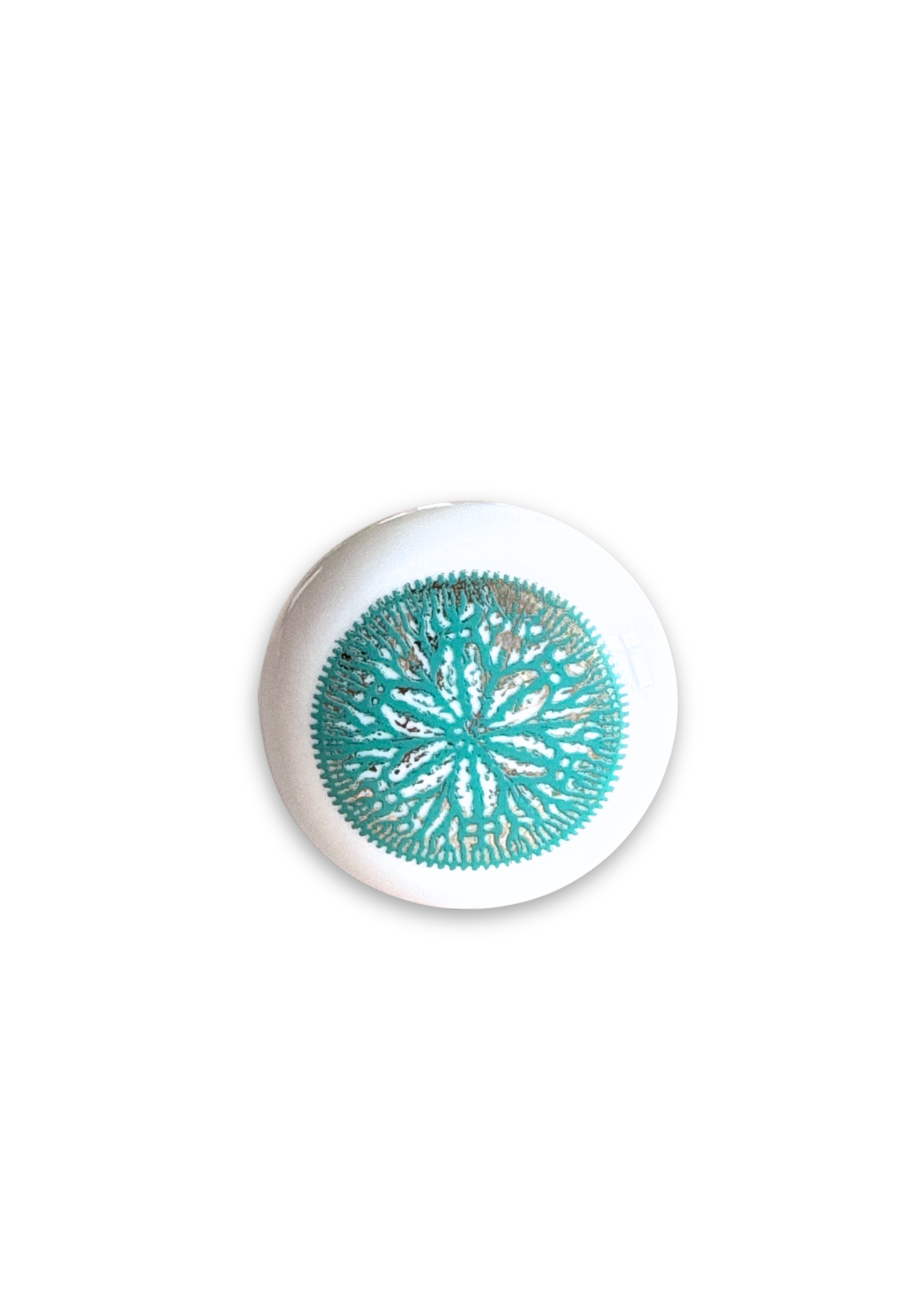 Sand Dollar Turquoise Porcelain Wine Cork Stopper