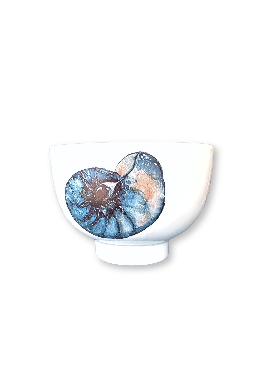 Coastal Nautilus Porcelain Bowl