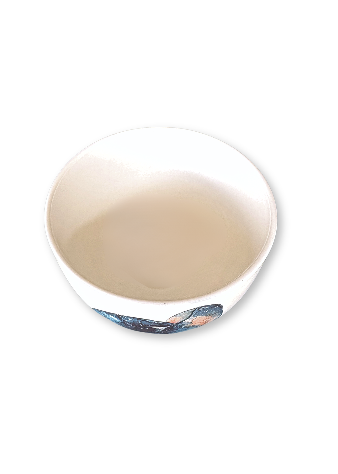 Coastal Nautilus Porcelain Bowl