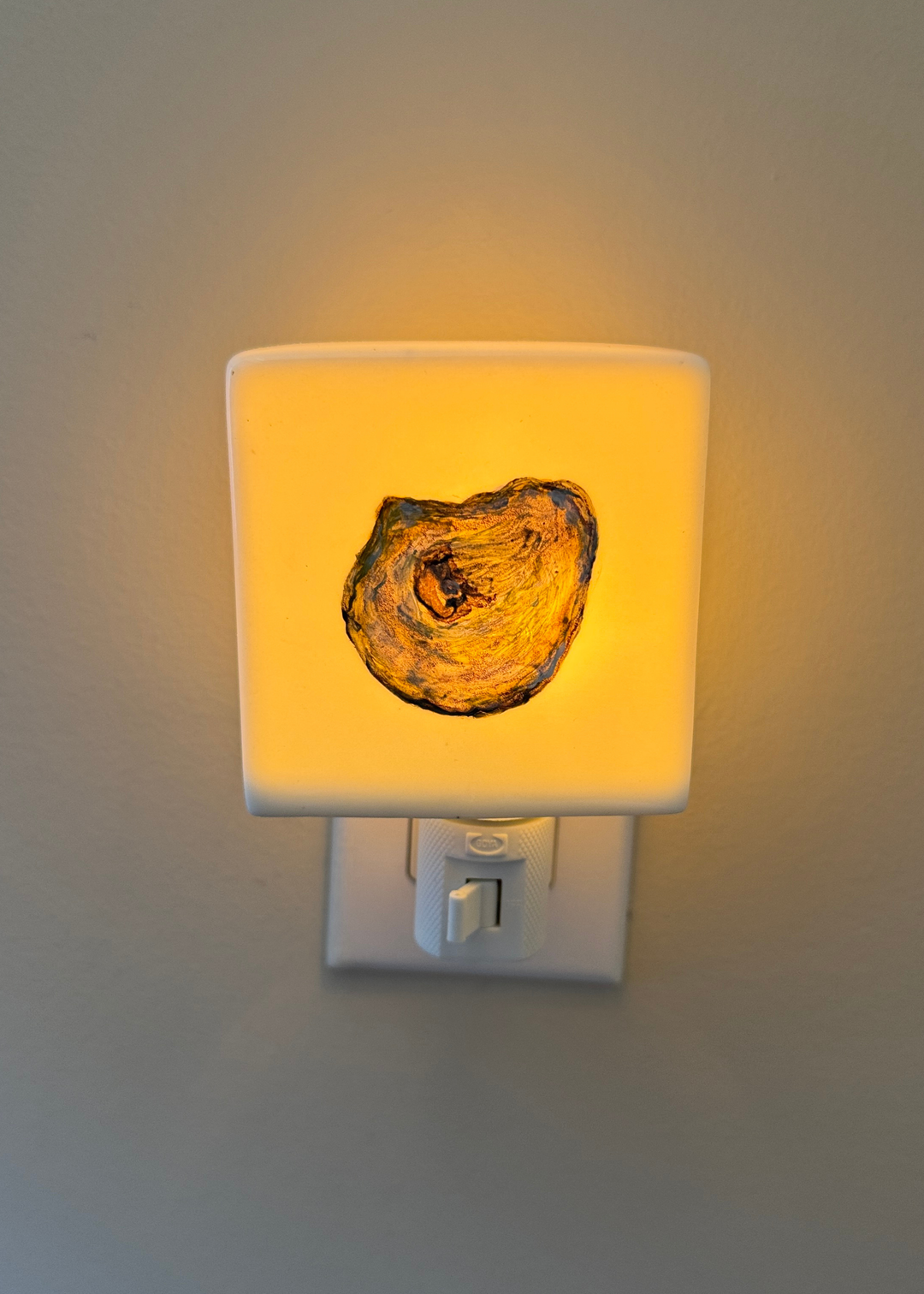 Oyster Shell Porcelain Night Light