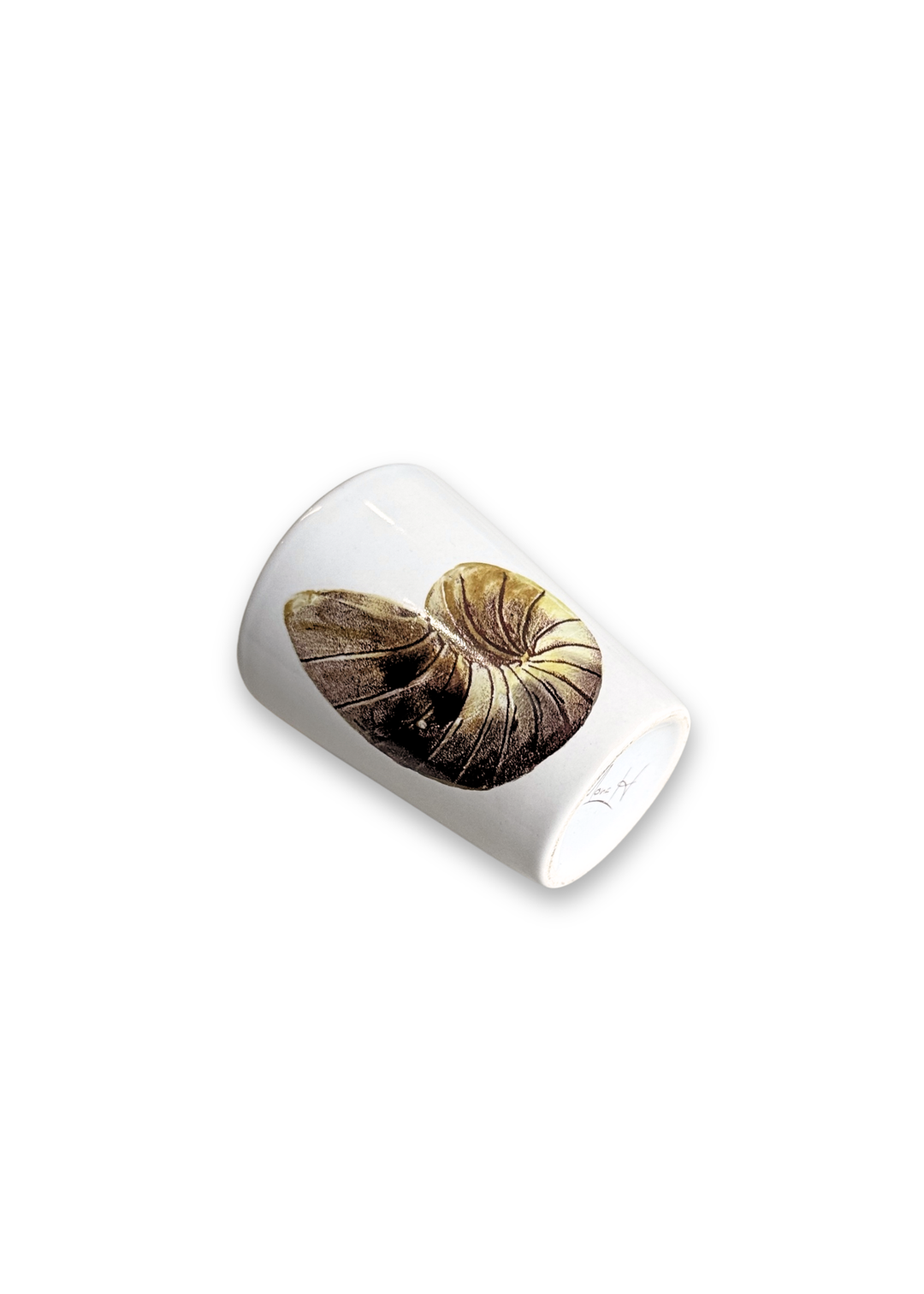 Coastal Nautilus Seashell Porcelain Ceramic Shot Glass