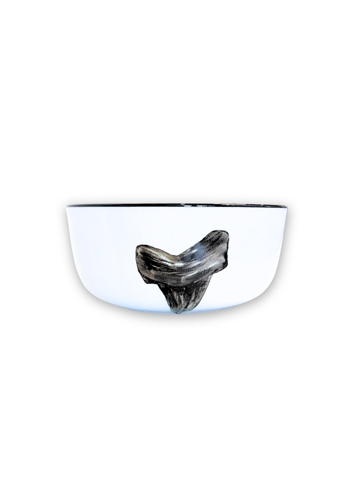 Shark Tooth Porcelain Black Rim Bowls