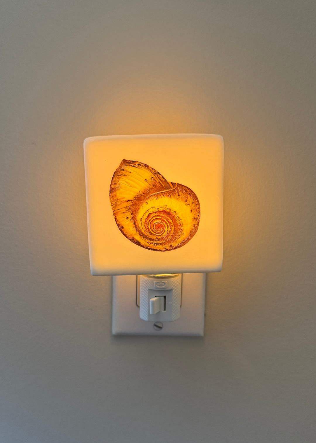 Golden Seashell Porcelain Night Light