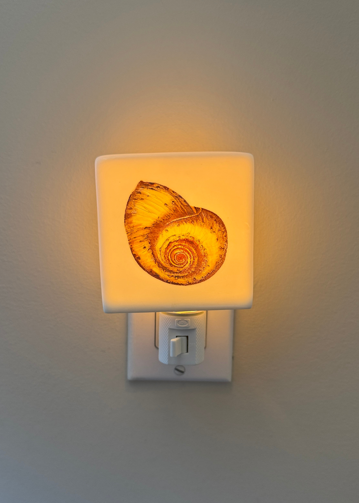 Golden Seashell Porcelain Night Light
