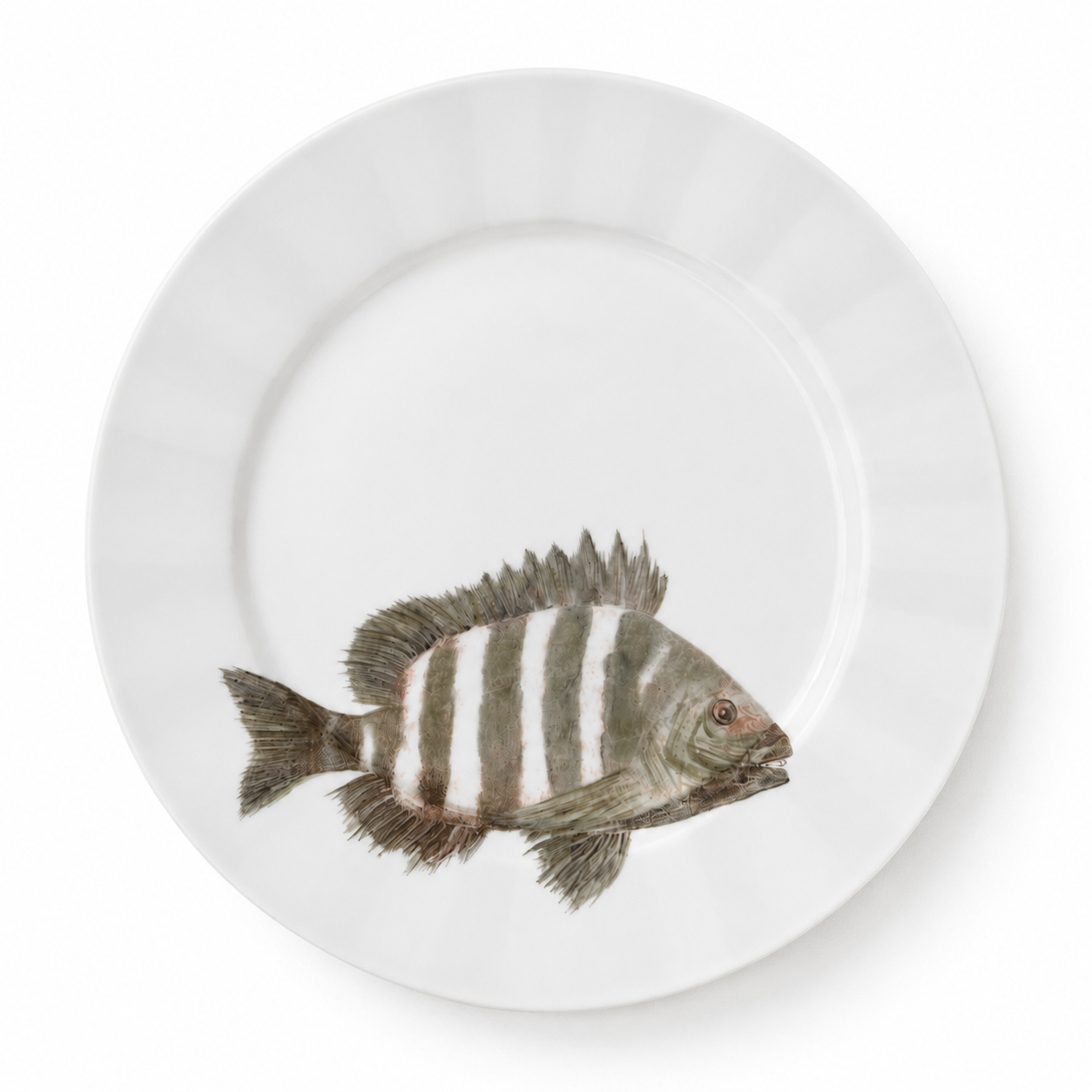 Hand-Painted Sheepshead Fish Porcelain Plate