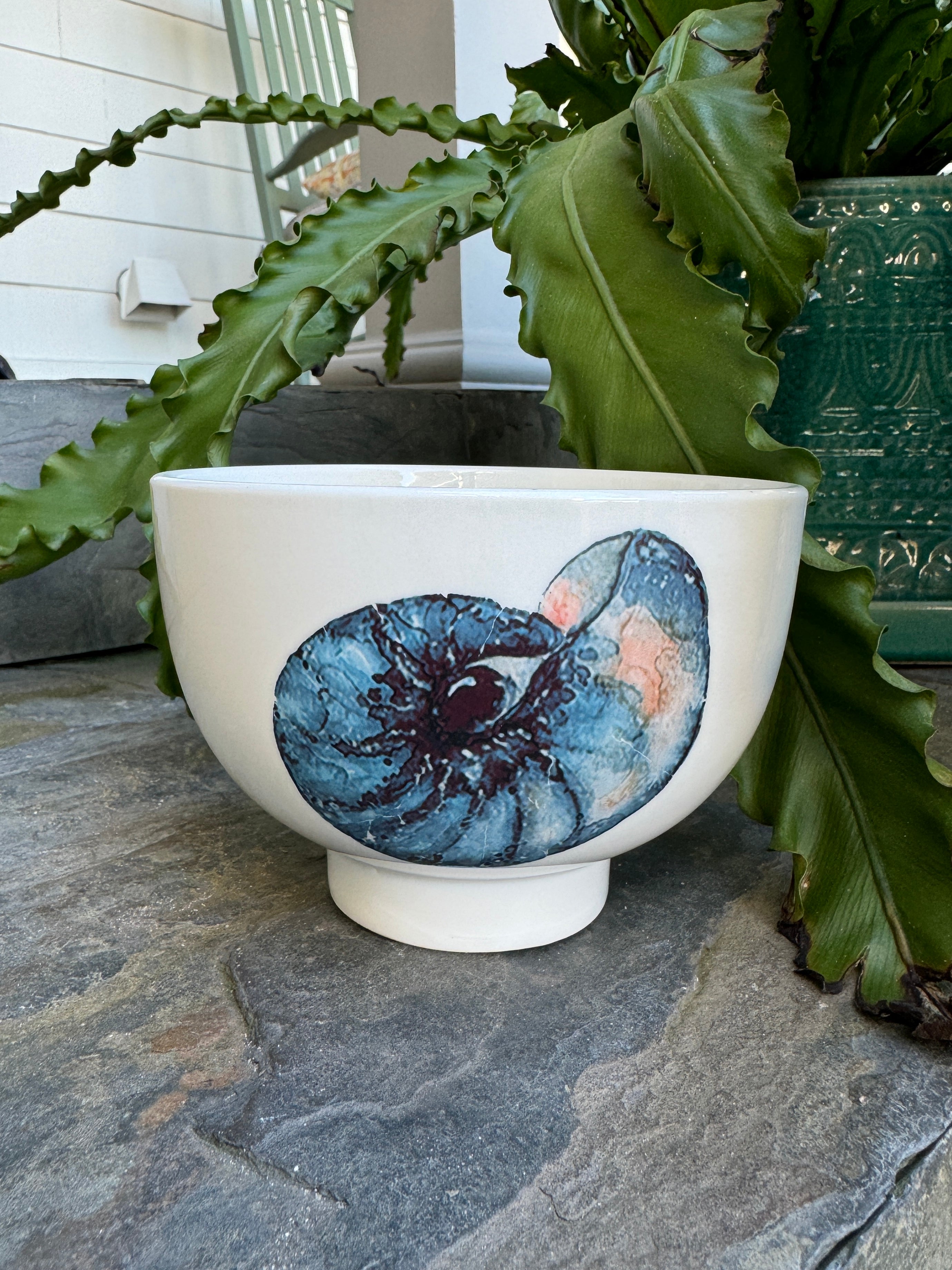 Seashell Bowl