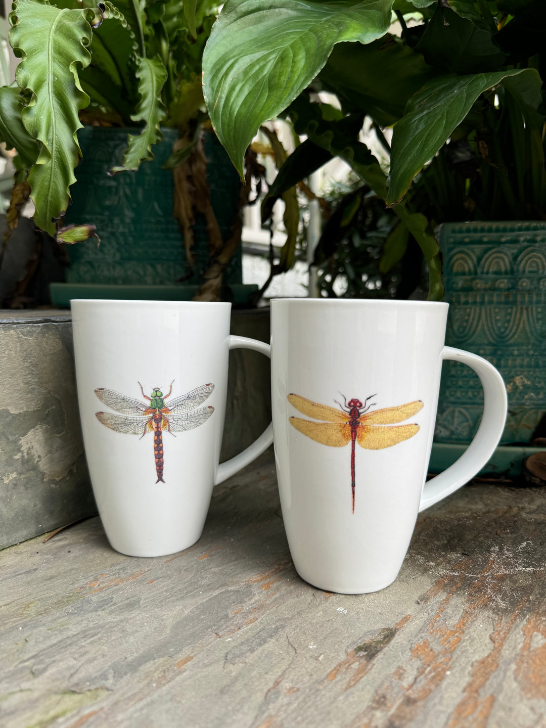 Dragonfly Mug