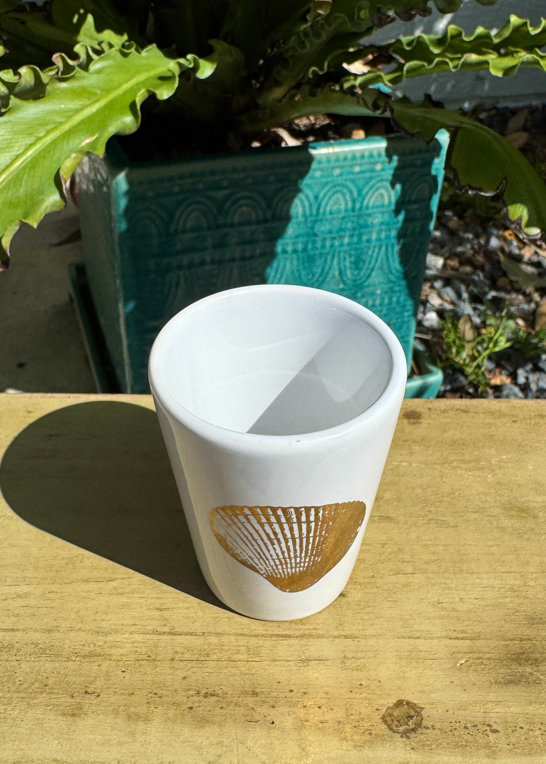 Coastal Shot Glass, Seashell Shot Glass, Coastal Gift