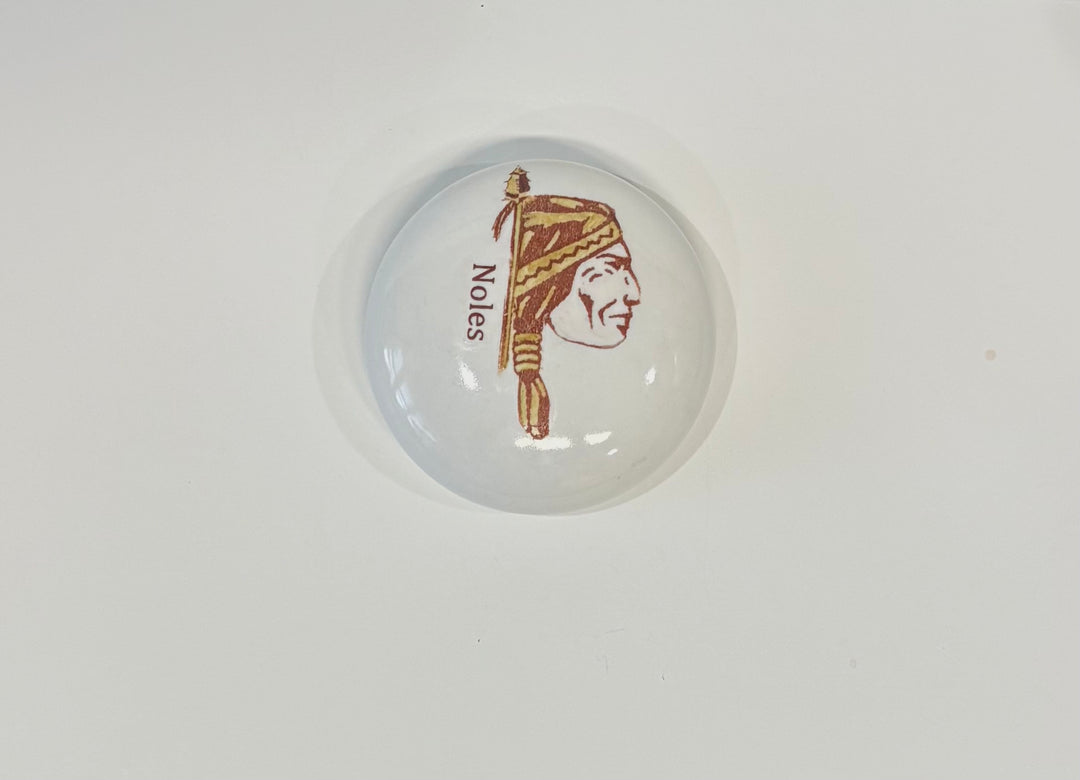Hand Painted Indian Head on a porcelain paper weight