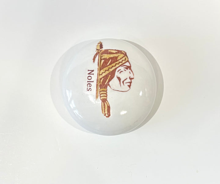 Hand Painted Indian Head on a porcelain paper weight