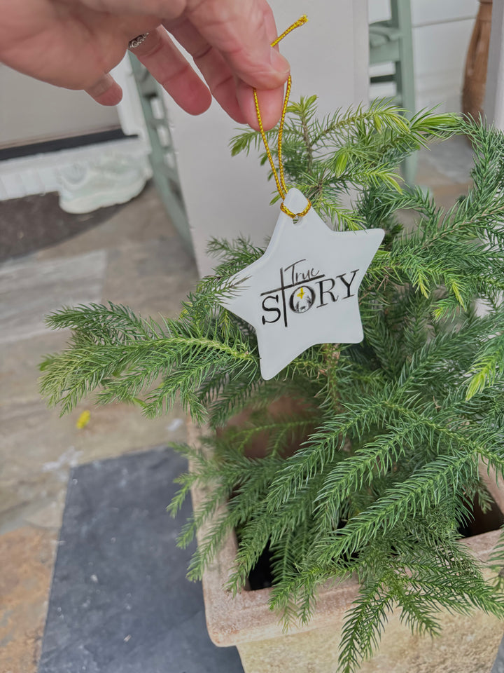 White Porcelain 2.5" Star Ornament With The Wording True Story