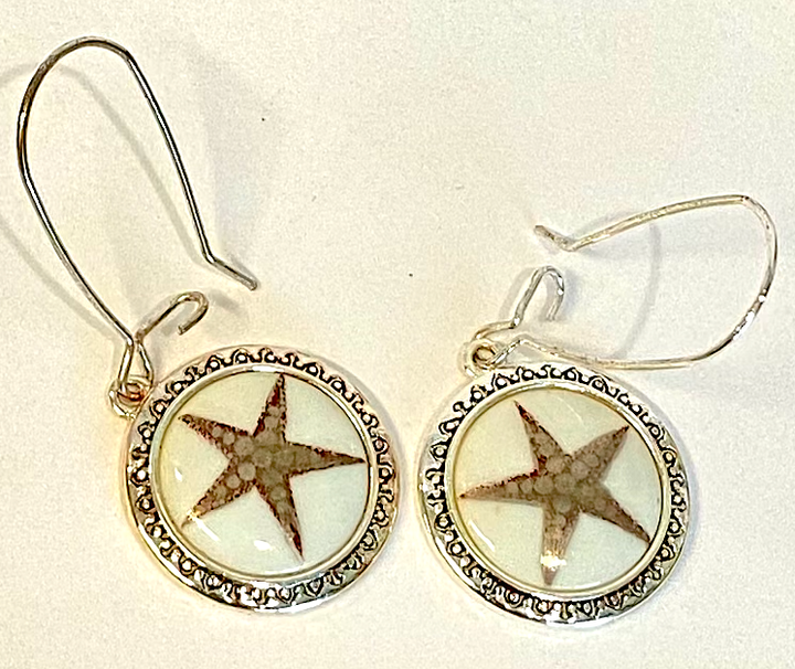 Star Earrings porcelain pendants in a stainless steel bezel star lover jewelry