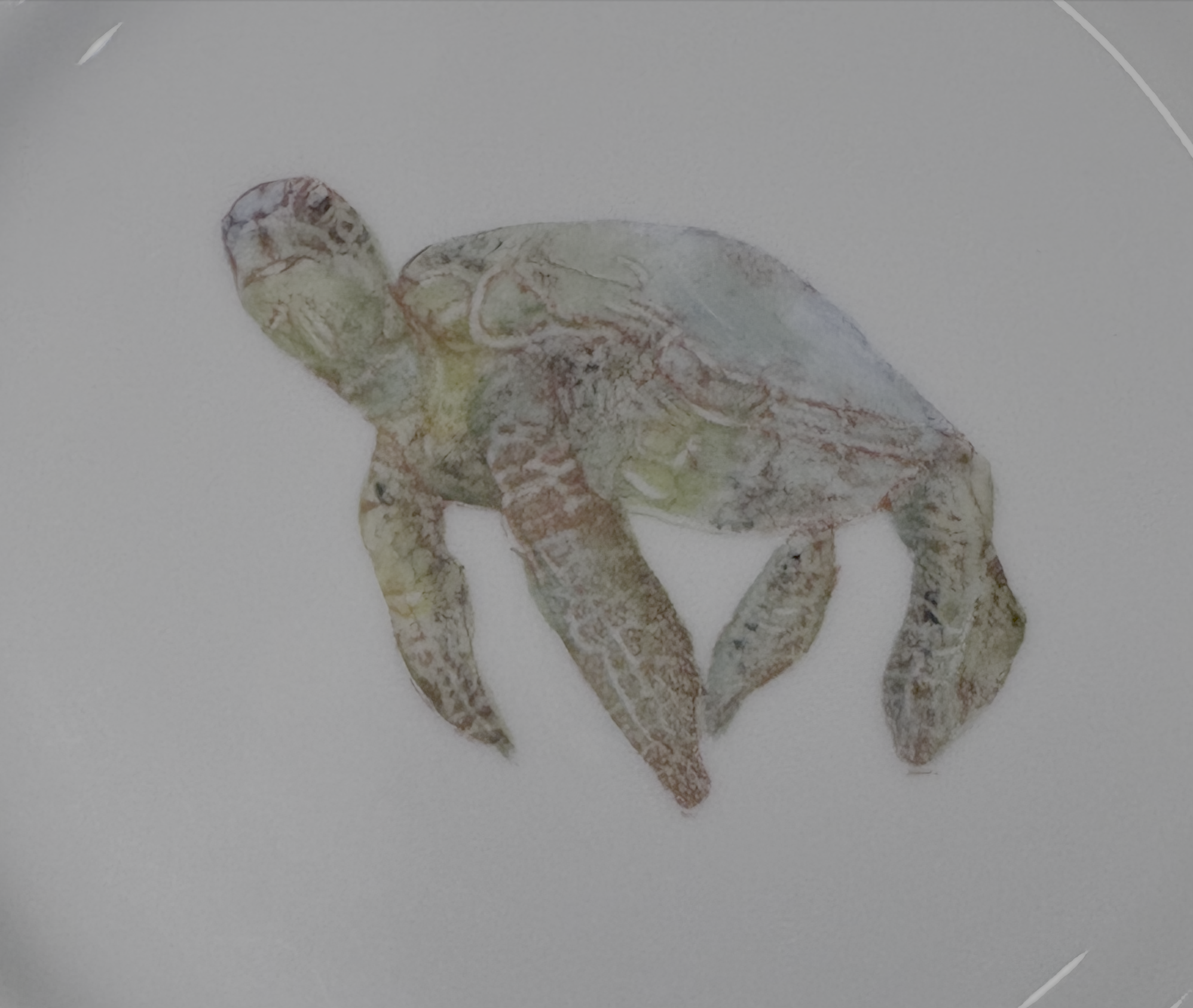 Hand-Painted Sea Turtle Porcelain Appetizer Plates – Set of 4