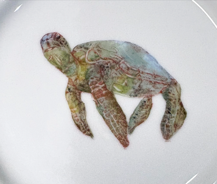 Hand-Painted Sea Turtle Porcelain Appetizer Plates – Set of 4