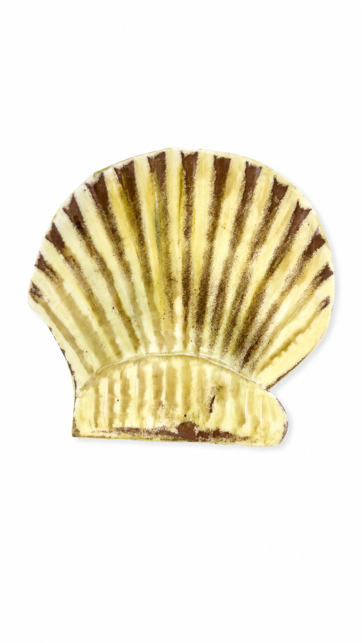 Hand-Painted Scallop Shell Porcelain Serving Platter – Coastal Entertaining Tray