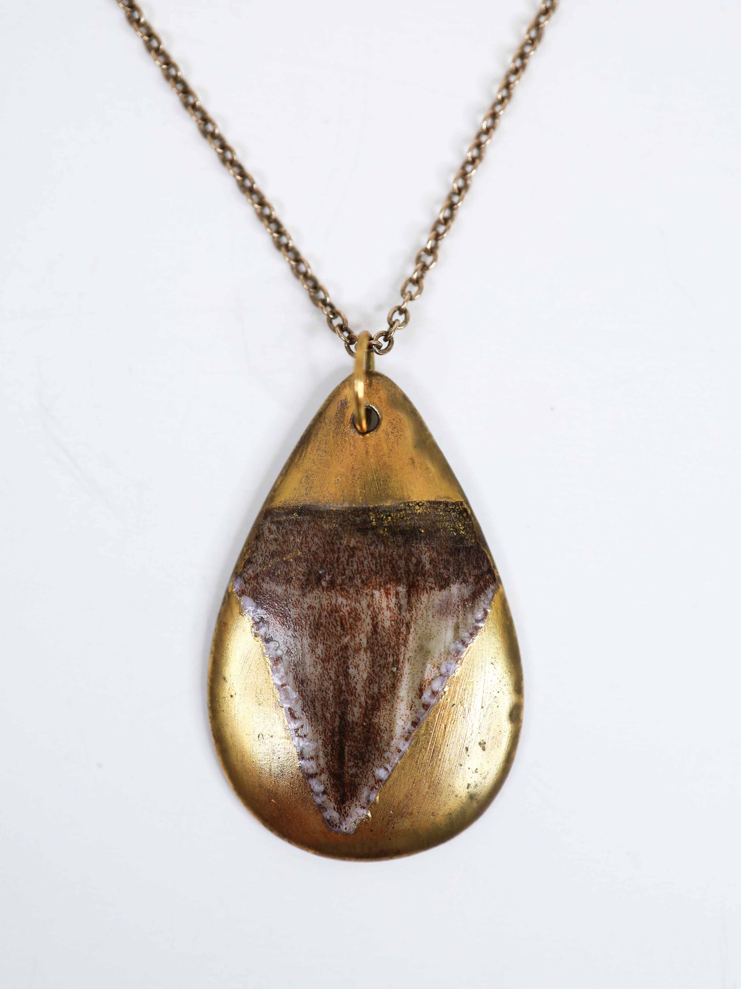 Kelly Shark Tooth Necklace